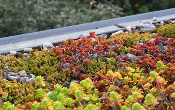 the cost of Moordown green roof installation