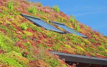 Moordown living roof systems
