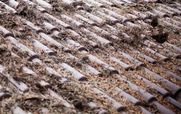 Moordown roof cleaning companies