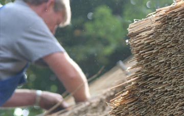 professional Moordown thatchers