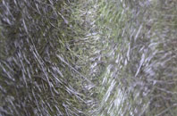 Moordown fibreglass roof work